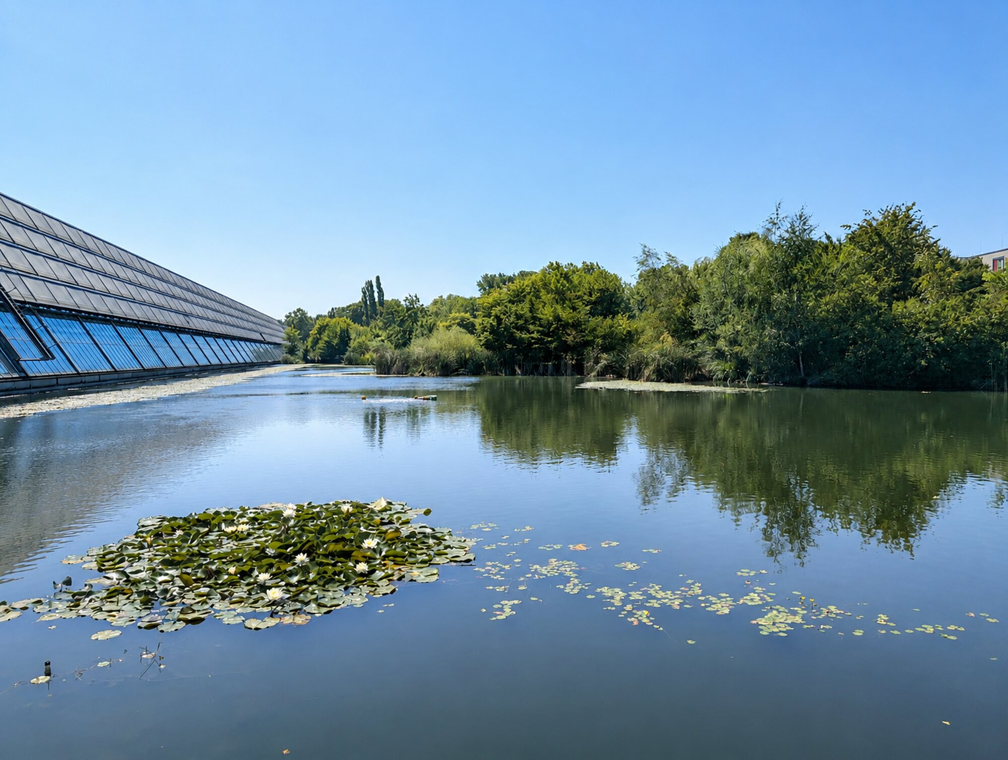 Wasserbecken vor der Glasfassade des Wissenschaftsparks Gelsenkirchen