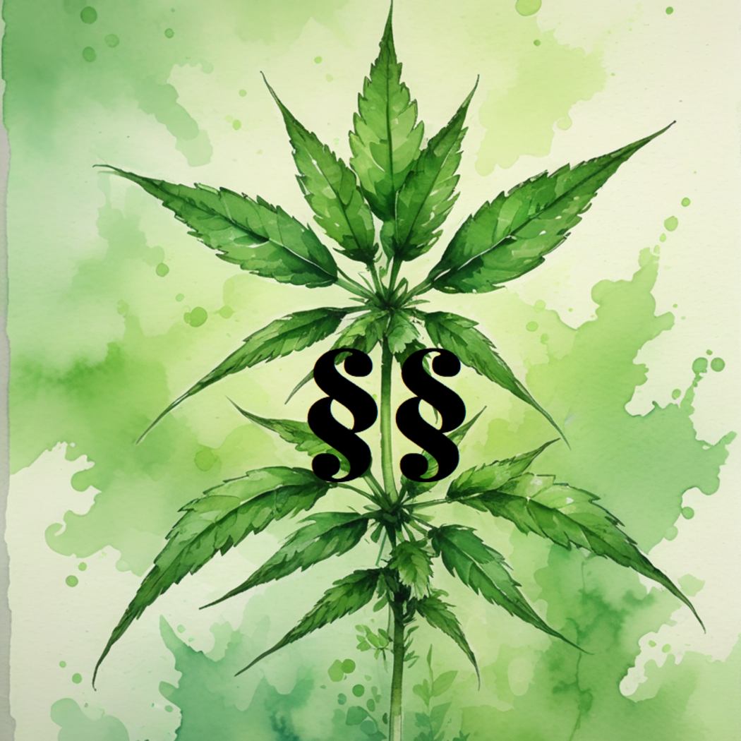 Konsumcannabis – Herausforderungen für den Ordnungsbereich