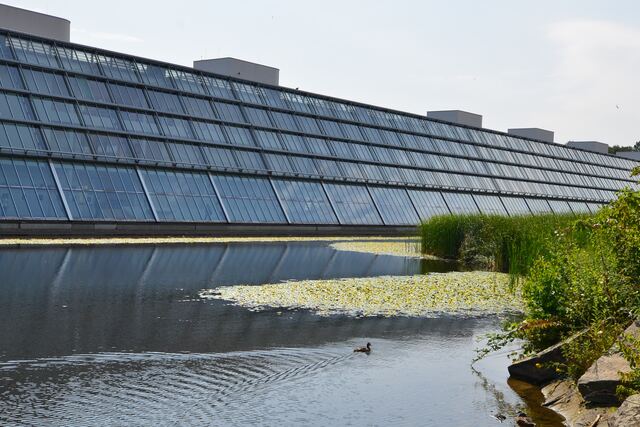 Wasserbecken vor der Glasfassade des Wissenschaftsparks